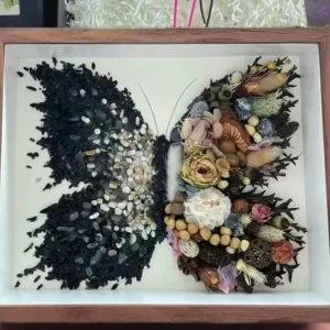 Close-up of Black Pearl crystals and pressed flowers in butterfly shadow box