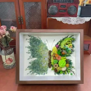 Close-up of purple Green crystals and pressed flowers in butterfly shadow box